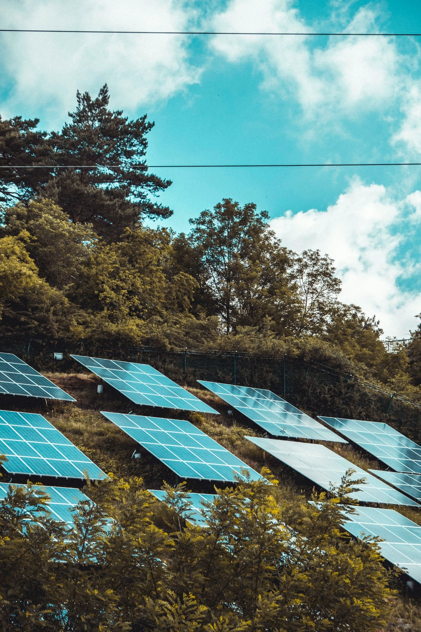 The Role of Collaboration in Renewable Energy Growth